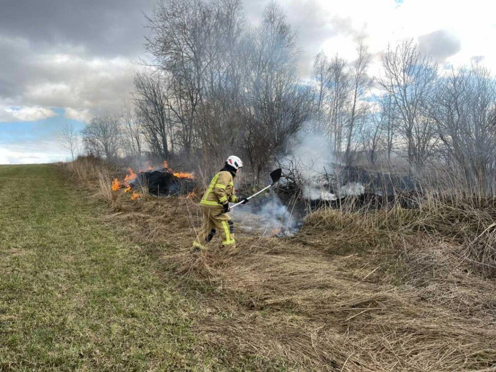 Pożary traw w Piątnicy, jeden było widać z mostu Hubala [FOTO]