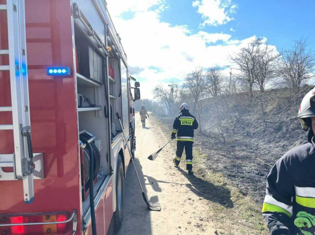 Pożary traw w Piątnicy, jeden było widać z mostu Hubala [FOTO]