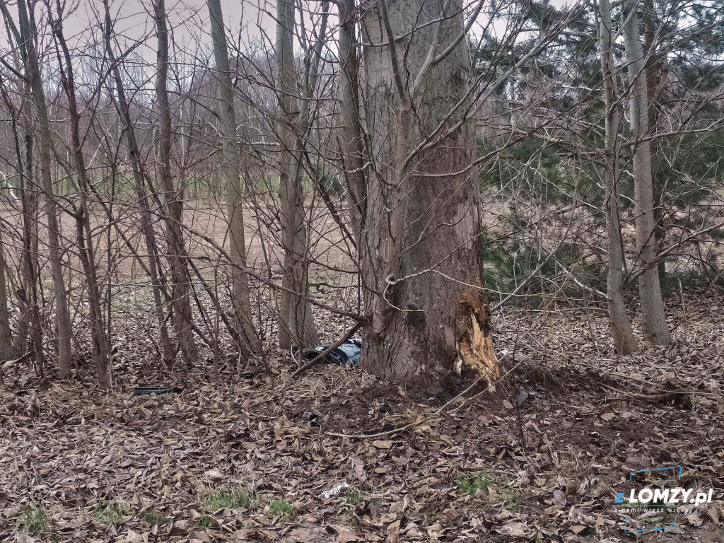 Uderzenie w drzewo i pożary traw [FOTO]