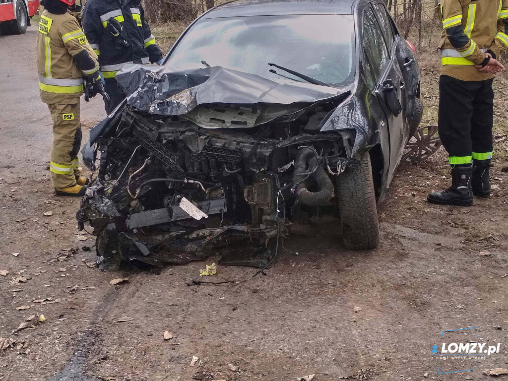 Uderzenie w drzewo i pożary traw [FOTO]
