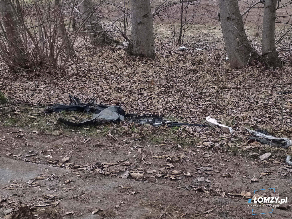 Uderzenie w drzewo i pożary traw [FOTO]