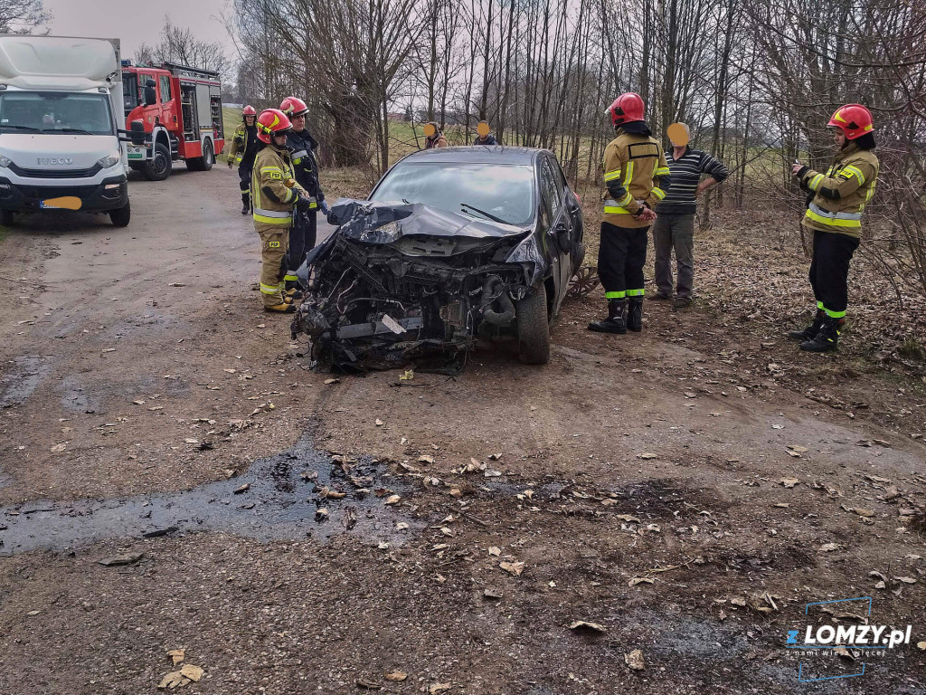 Uderzenie w drzewo i pożary traw [FOTO]