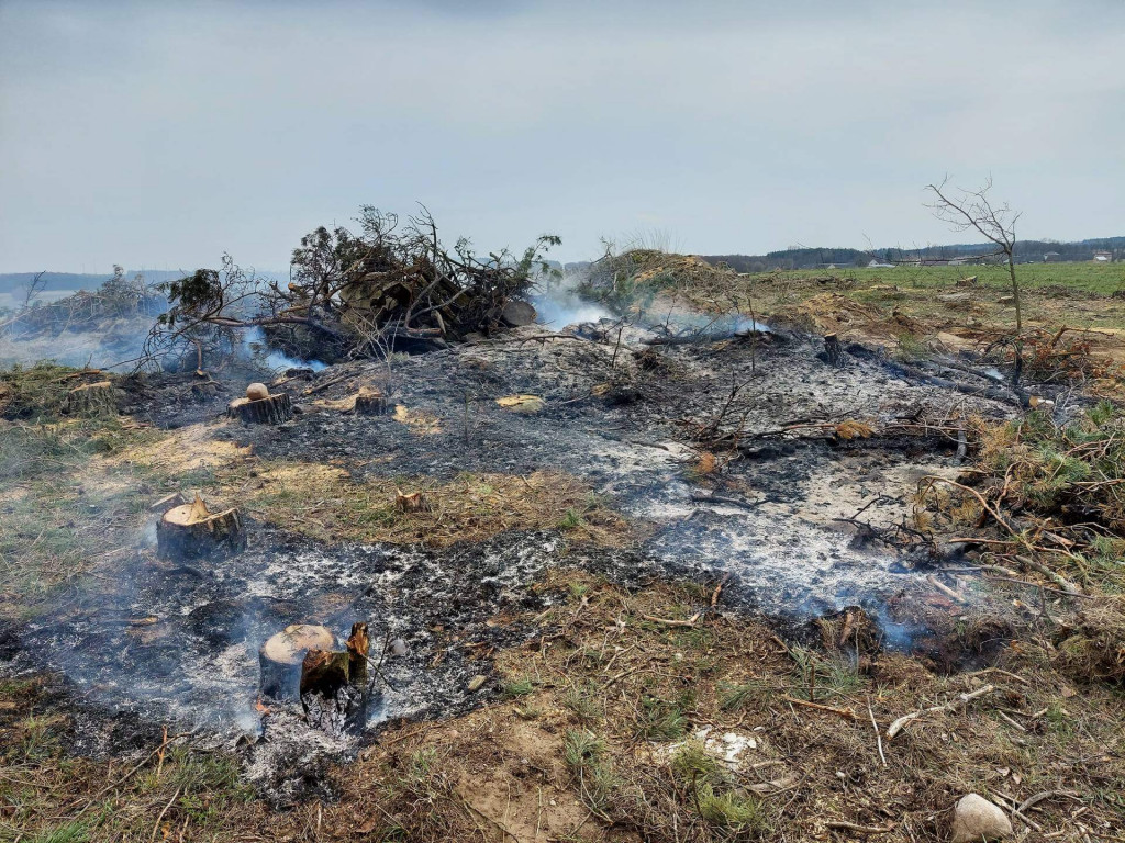 Uderzenie w drzewo i pożary traw [FOTO]