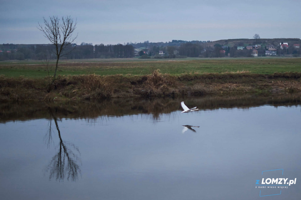 Po 4 dniach żeglugi dobiły do portu! Rybitwa i Kormoran będą pływać po Narwi [FOTO]