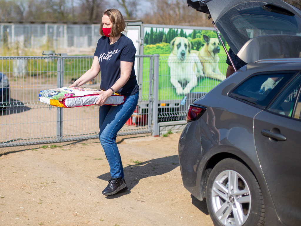 Prawie pół tony karmy dla schroniska Arka [FOTO]