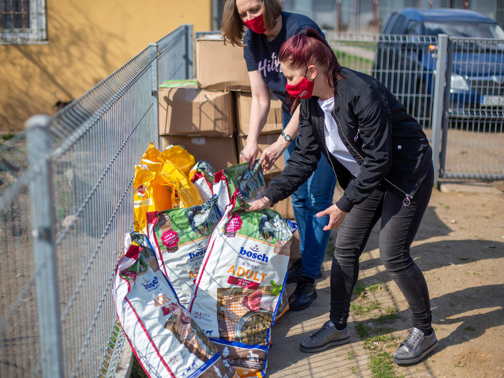 Prawie pół tony karmy dla schroniska Arka [FOTO]