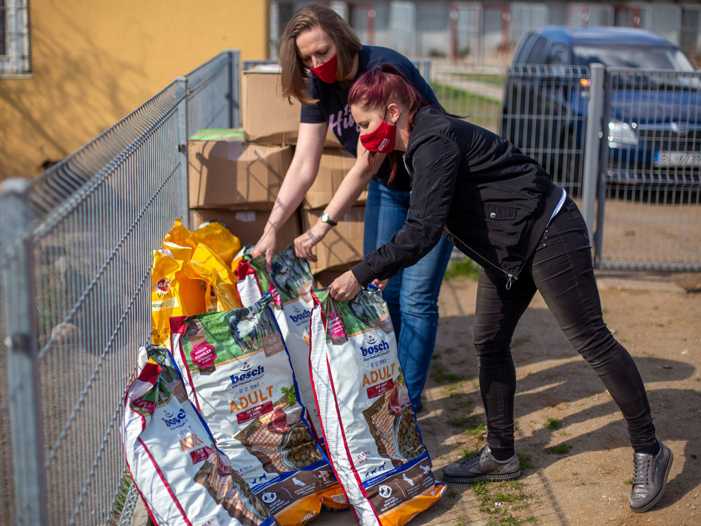 Prawie pół tony karmy dla schroniska Arka [FOTO]