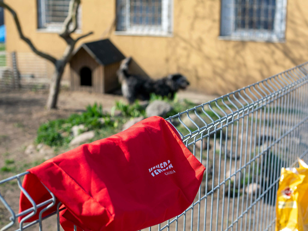 Prawie pół tony karmy dla schroniska Arka [FOTO]