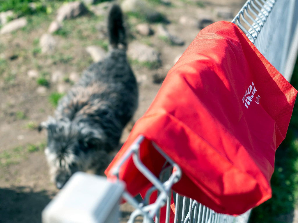 Prawie pół tony karmy dla schroniska Arka [FOTO]