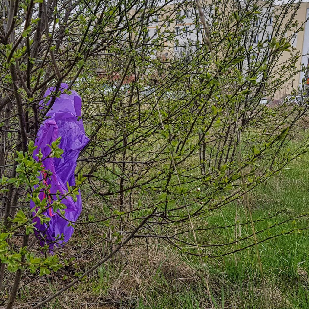 Wysypisko z widokiem na wierzę ciśnień! Tak dbamy o Łomżę?