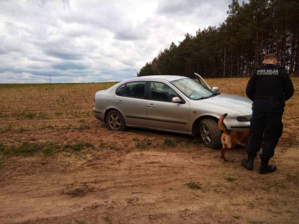 Poszukiwany uciekinier w rękach policji [FOTO]