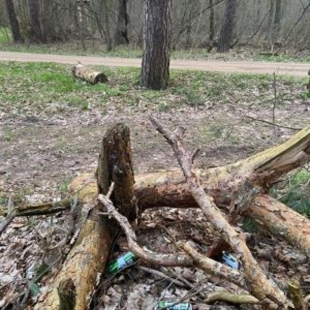 Dbajmy o własne otoczenie, by wyglądało jak na załączonym obrazku [FOTO]