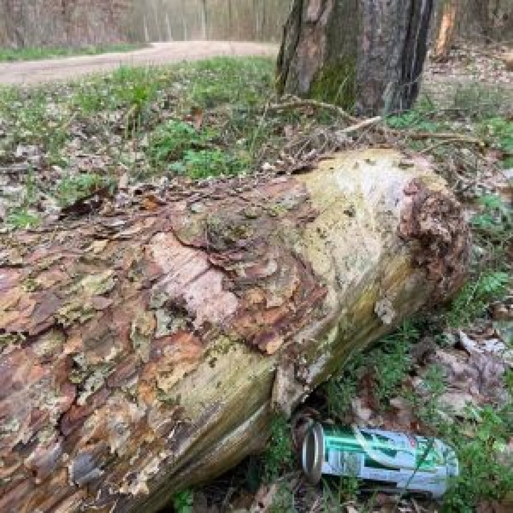 Dbajmy o własne otoczenie, by wyglądało jak na załączonym obrazku [FOTO]