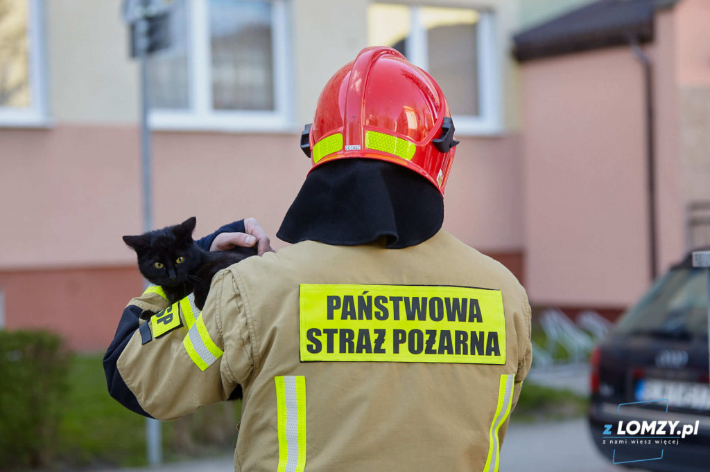 Gdy wszyscy uciekają oni zostają na miejscu! Dzisiaj dzień strażaka! [FOTO]