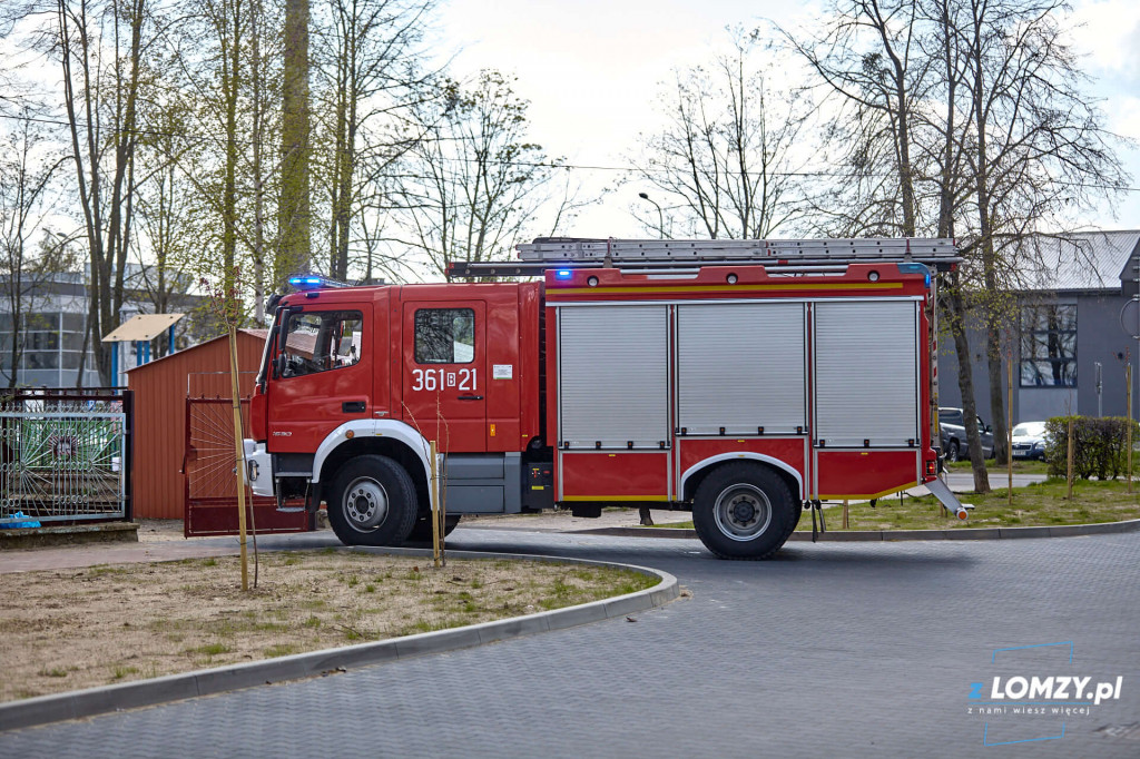 Wiatr wyrwał z korzeniami pokaźnej wielkości świerk [FOTO]