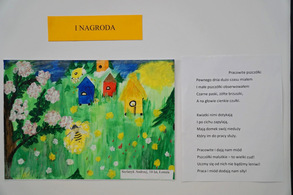 Konkurs 