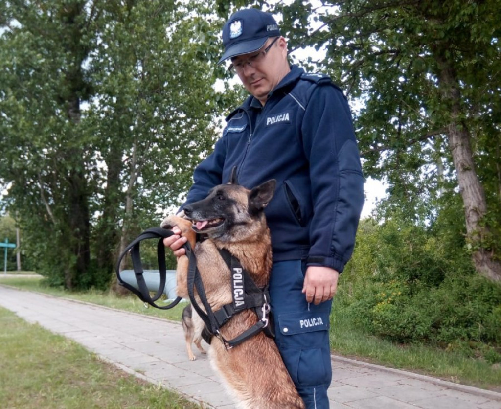 Łomża: 