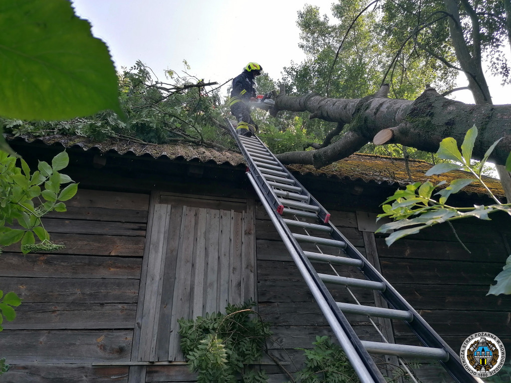 Wywrócone drzewo na dach świetlicy wiejskiej [FOTO]