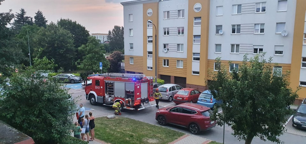 Wpadł do pojemnika z odzieżą używaną! Pomagali strażacy! [FOTO]