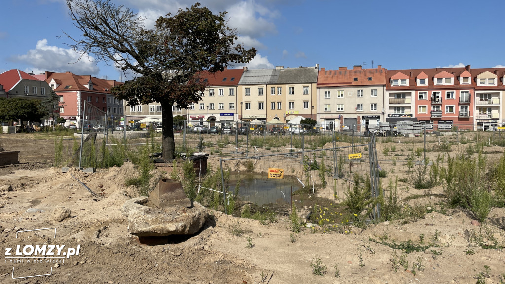 Więcej zieleni i pomnik. Jak zmieni się Stary Rynek? [FOTO]