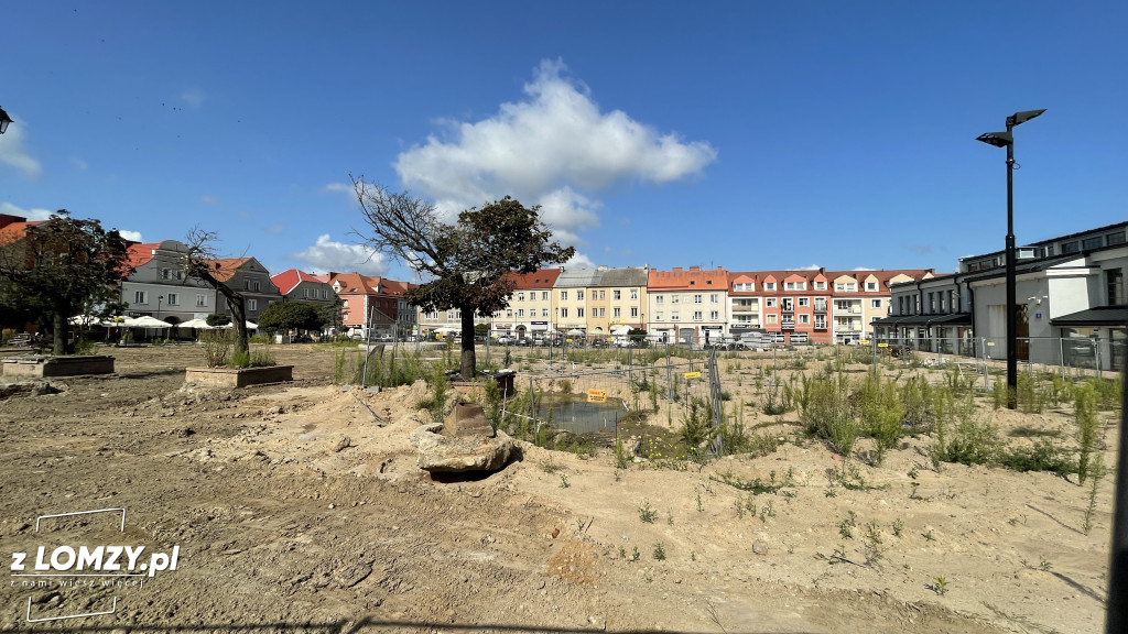 Więcej zieleni i pomnik. Jak zmieni się Stary Rynek? [FOTO]