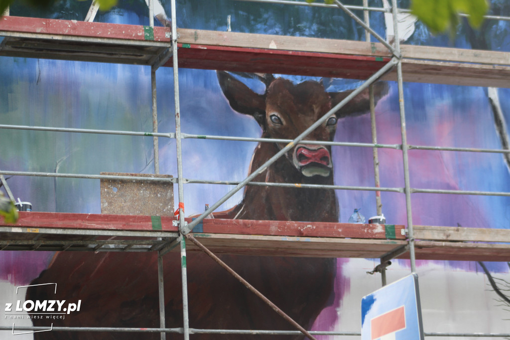Nowy mural już blisko! Zobacz postępy prac [FOTO]