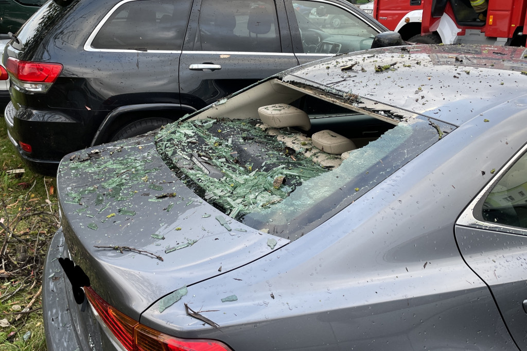 Połamane drzewo wybiło szybę auta! [FOTO]