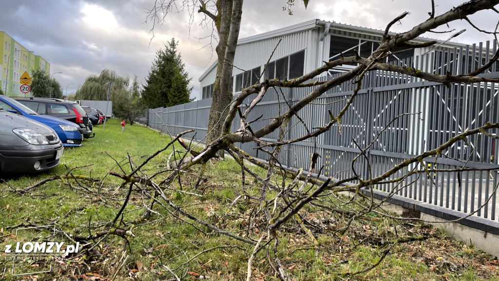Połamane drzewo wybiło szybę auta! [FOTO]