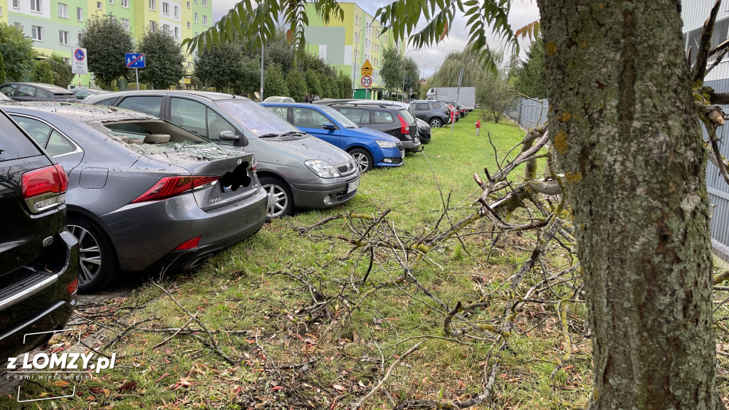 Połamane drzewo wybiło szybę auta! [FOTO]