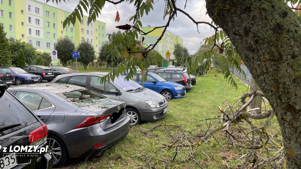 Połamane drzewo wybiło szybę auta! [FOTO]