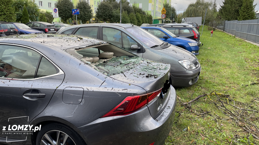 Połamane drzewo wybiło szybę auta! [FOTO]