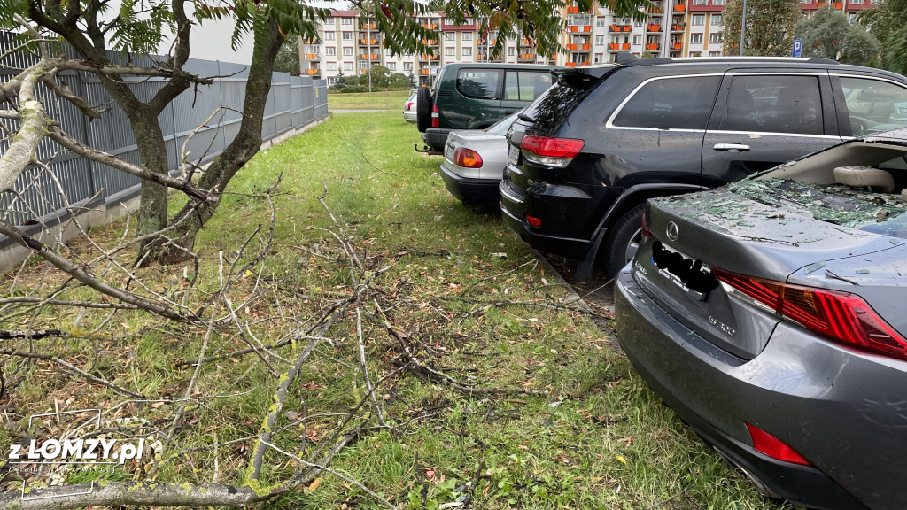 Połamane drzewo wybiło szybę auta! [FOTO]
