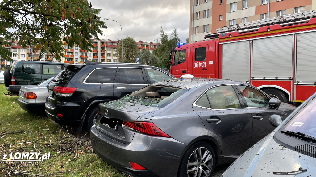 Połamane drzewo wybiło szybę auta! [FOTO]
