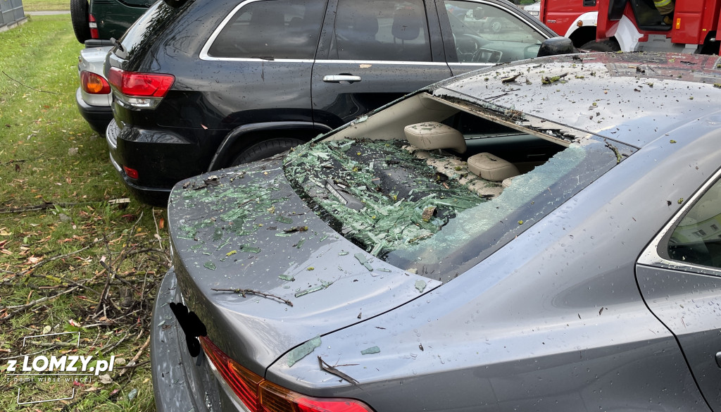 Połamane drzewo wybiło szybę auta! [FOTO]