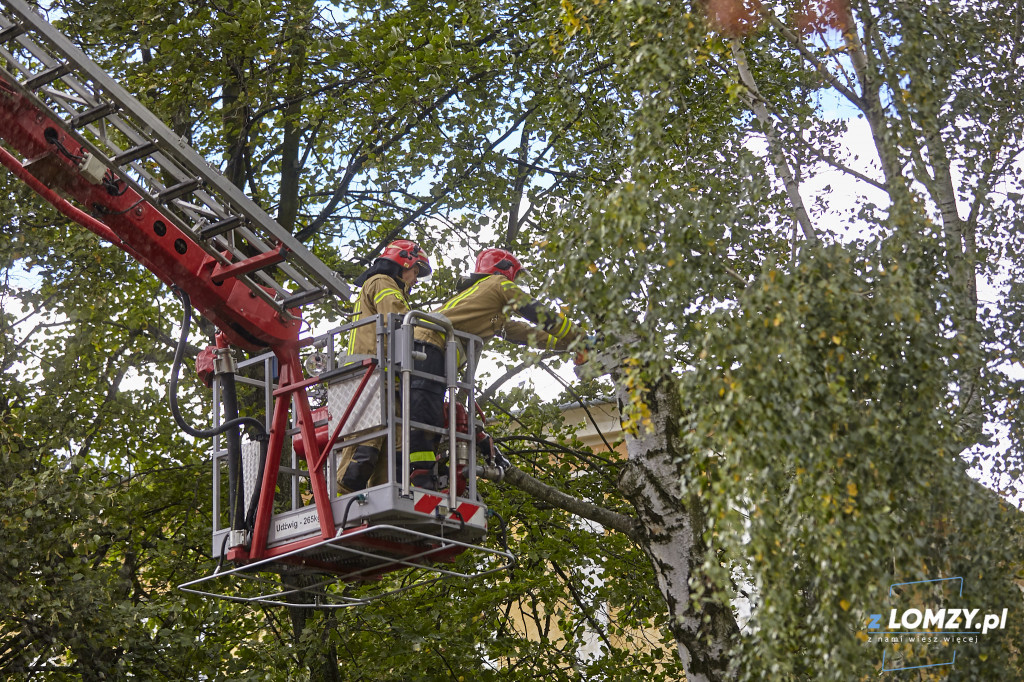 Włos od tragedii na Stacha Konwy! Utrudnienia [FOTO]