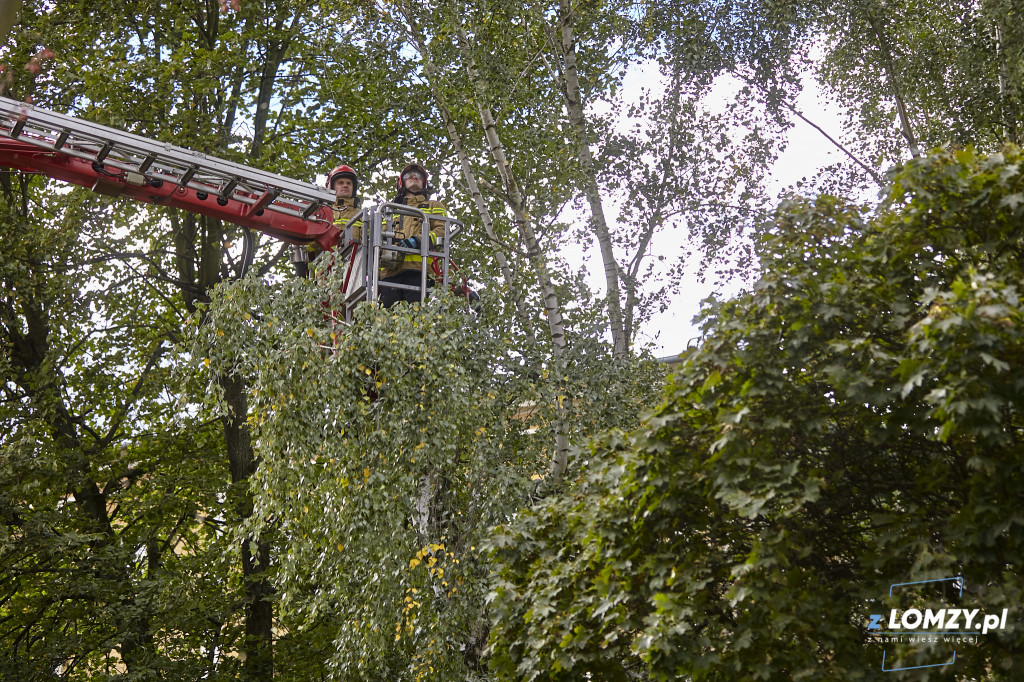 Włos od tragedii na Stacha Konwy! Utrudnienia [FOTO]