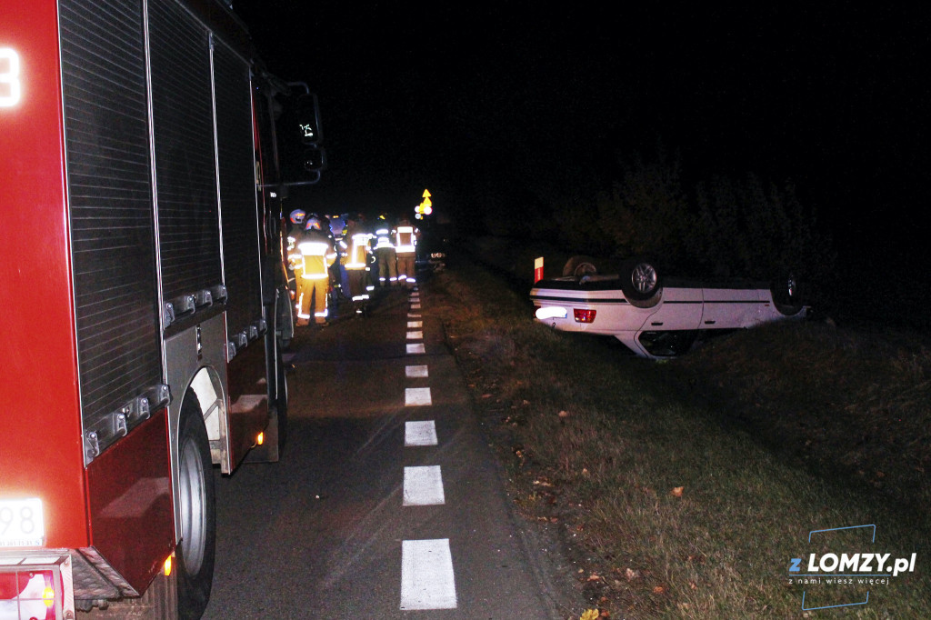 Wypadek dwóch aut z łosiem! Zwierze uciekło