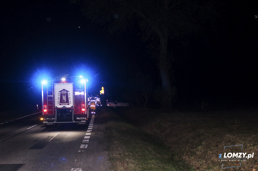 Wypadek dwóch aut z łosiem! Zwierze uciekło