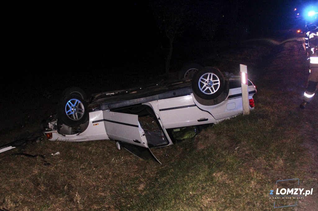 Wypadek dwóch aut z łosiem! Zwierze uciekło