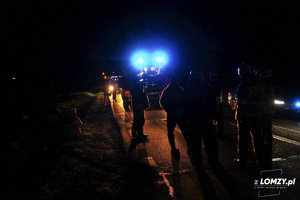Wypadek dwóch aut z łosiem! Zwierze uciekło