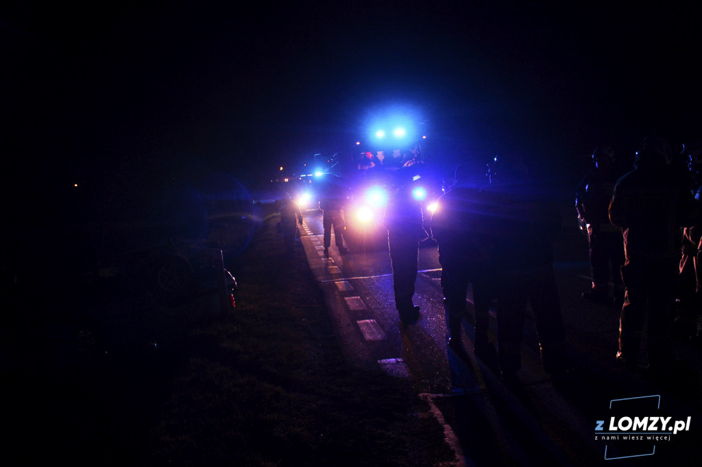 Wypadek dwóch aut z łosiem! Zwierze uciekło