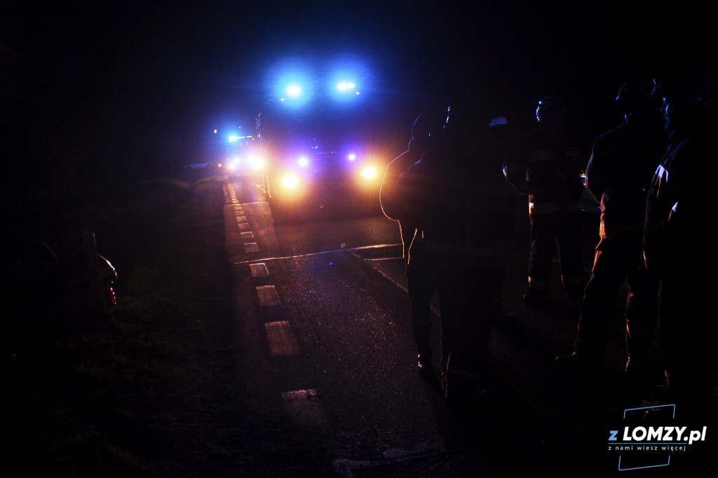 Wypadek dwóch aut z łosiem! Zwierze uciekło