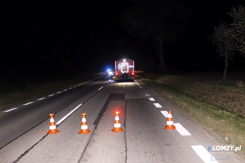 Wypadek dwóch aut z łosiem! Zwierze uciekło