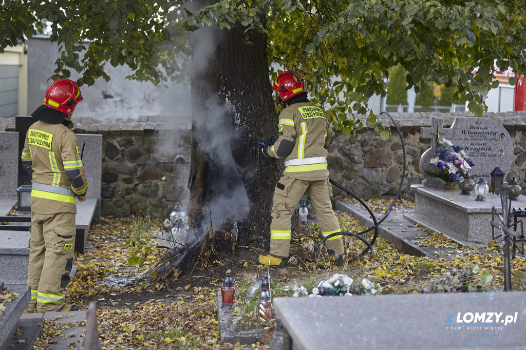 Pożar drzewa na cmentarzu przy Kopernika! Czy to podpalenie? [FOTO]