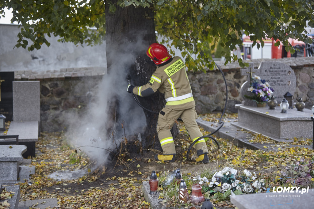 Pożar drzewa na cmentarzu przy Kopernika! Czy to podpalenie? [FOTO]