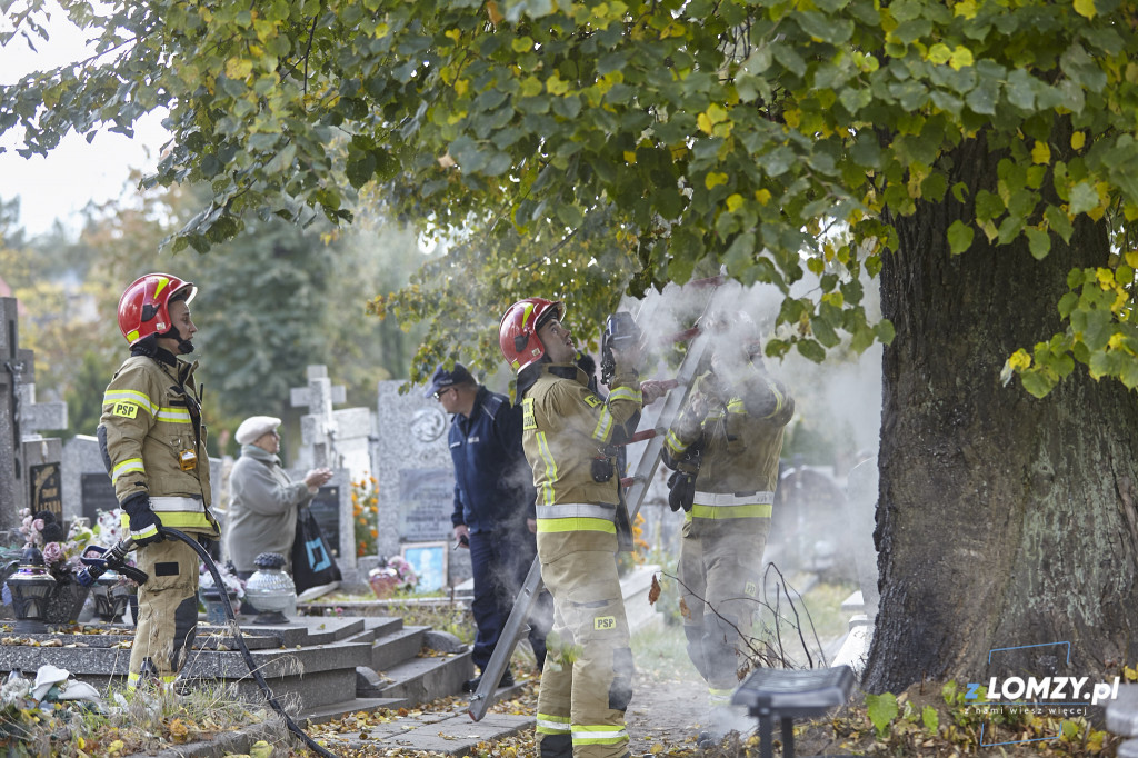 Pożar drzewa na cmentarzu przy Kopernika! Czy to podpalenie? [FOTO]