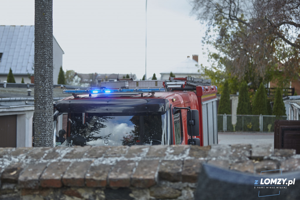 Pożar drzewa na cmentarzu przy Kopernika! Czy to podpalenie? [FOTO]