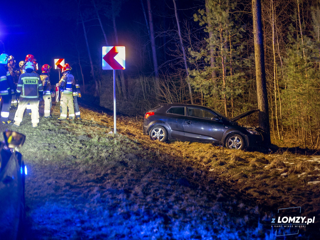 Pijana kobieta i samochód na drzewie [FOTO]