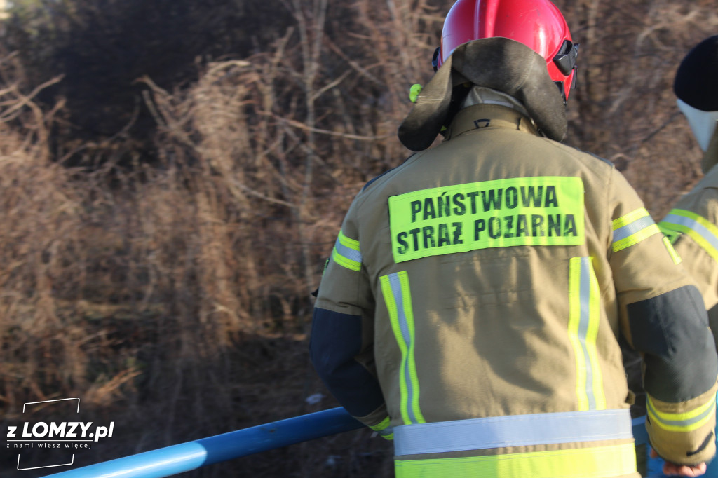 Łomżyczka znowu skażona