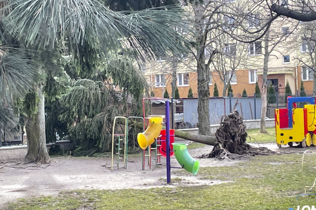 Poderwany dach i drzewo na samochodzie
